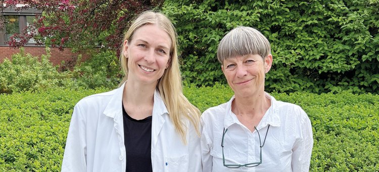 <!--@ItemPublisher:Item.AltTekst-->